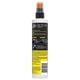 thumbnail image 2 of 12 Protectores Armor All Spray Limpiador Interior 295ml blanco ARMOR ALL, 2 of 3