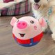 thumbnail image 5 of 2025 Bouncing Piggy Dog Toy, Interactive Plush Toy With Sound, Electronic Bouncing Ball, Washable For Dogs And Cats, 5 of 5