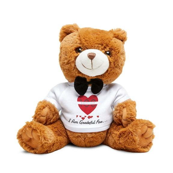 100Gratitudes Teddy Bear with T-Shirt