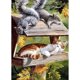 thumbnail image 5 of Pintura de diamante 5D DIY, kit de gato con cuentas cuadradas completas, decoración del hogar, 30x40cm, 5 of 9