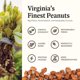 thumbnail image 4 of Gourmet Lightly Sea-Salted Almonds, 18 oz (1 Pack) – Only 3 Simple Ingredients, No Preservatives – A Premium, Salty, Crunchy, Hand Seasoned, Nutty Snack, 4 of 5