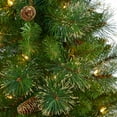 thumbnail image 3 of Nearly Natural 50in. Golden Tip Washington Pine Artificial Christmas Tree with 100 Clear Lights, Pine Cones and 336 Bendable Branches in White Planter, 3 of 6