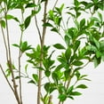 thumbnail image 4 of Nearly Natural 6ft. Artificial Minimalist Japanese Pieris Tree, 4 of 8