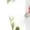 Green, variant on Women's Wide Leg Pants Summer Elastic Waist Crop Plus Size Straight Leg Slack Casual Trouser With Pocket Stretch Dress Casual Flowy Palazzo Pants Women