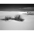 thumbnail image 2 of Flaherty, Dennis 32x26 Gold Ornate Wood Framed with Double Matting Museum Art Print Titled - New Mexico, White Sands NM Bush in desert sand, 2 of 4