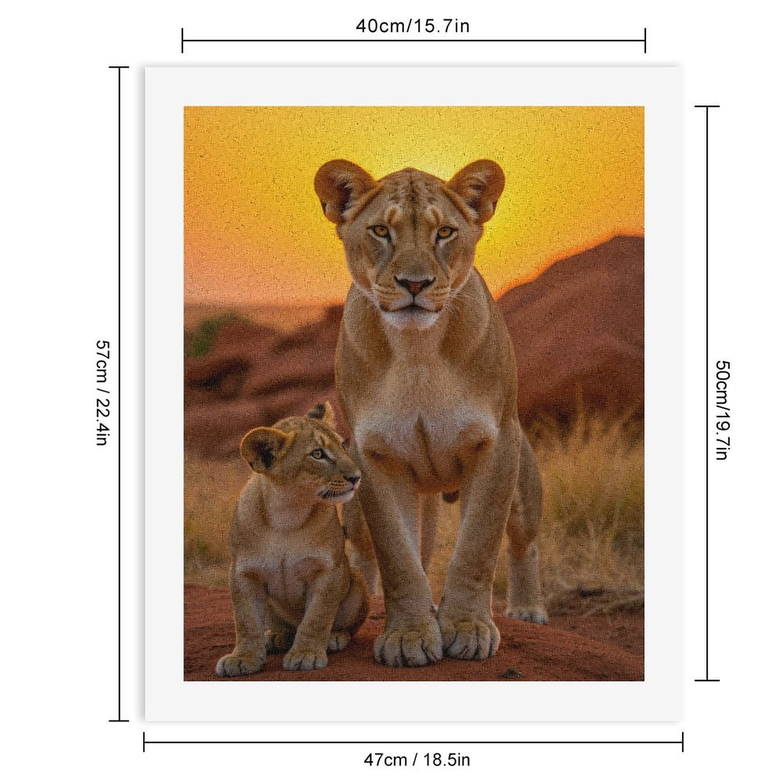 Paint by Numbers Kit for Adults, Lioness With Cub At Sunset Paint by Numbers, Easy Paint by Numbers Kit for Adults Beginner, DIY Adult Paint by Number Kits on Canvas, 12x16in Home Decor