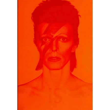 David Bowie Is...