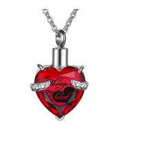 GoXteam Crystal Heart Pet Cremation Urns for Dog Ashes Cat Ashes Cremation Jewelry for Ashes Urn Necklace Locket