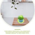thumbnail image 2 of 50pcs Suculento planta platillo platillo bandeja redondo flor placa placa, 2 of 5