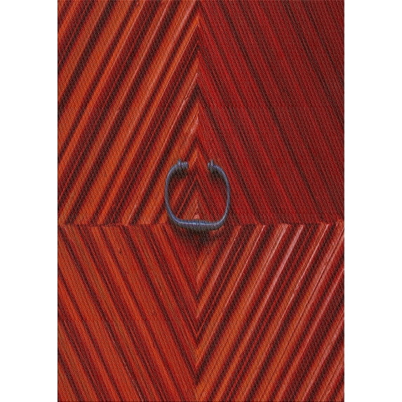 Ahgly Company Machine Washable Indoor Rectangle Transitional Tomato Red Area Rugs, 7' x 10'