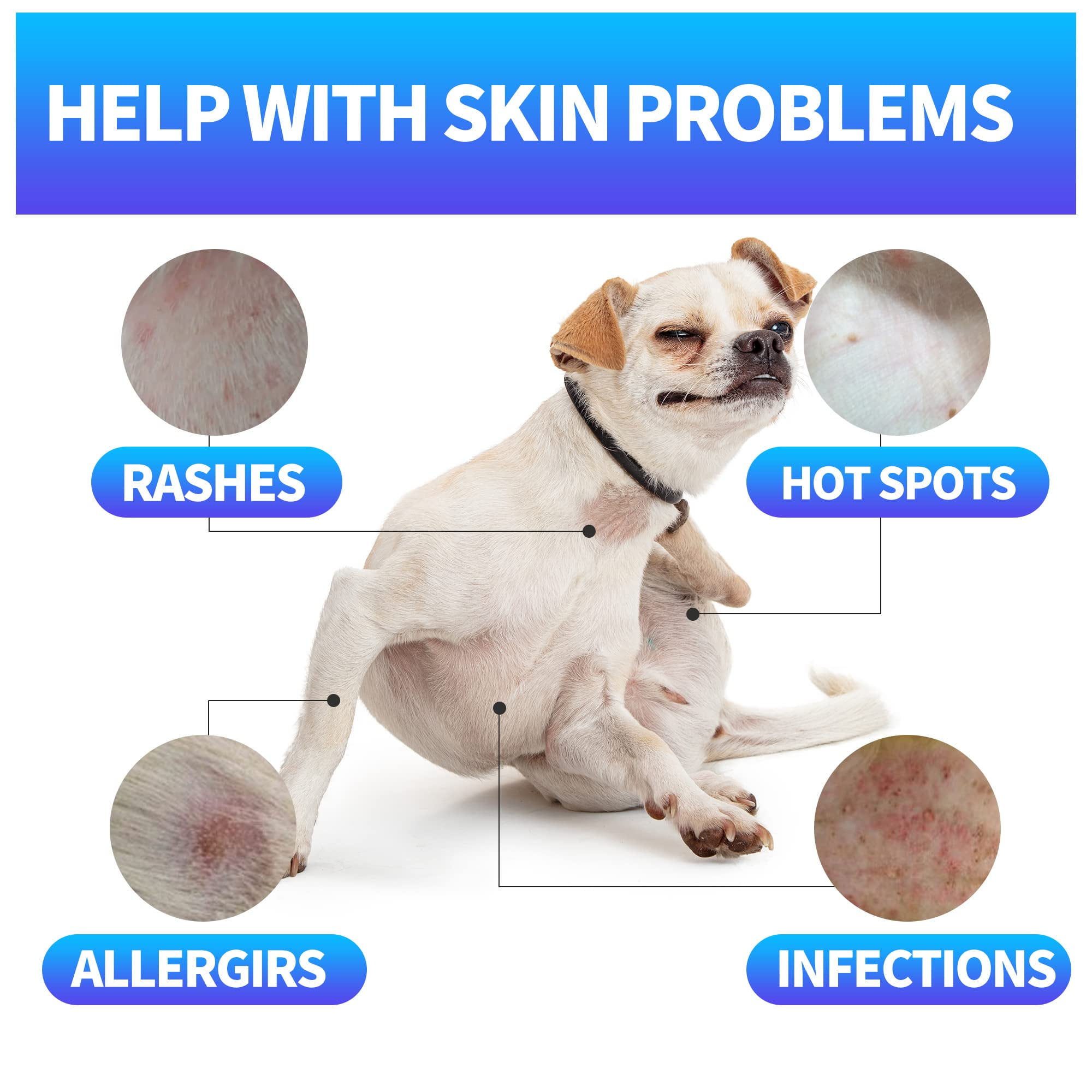 Antifungal dog wash discount