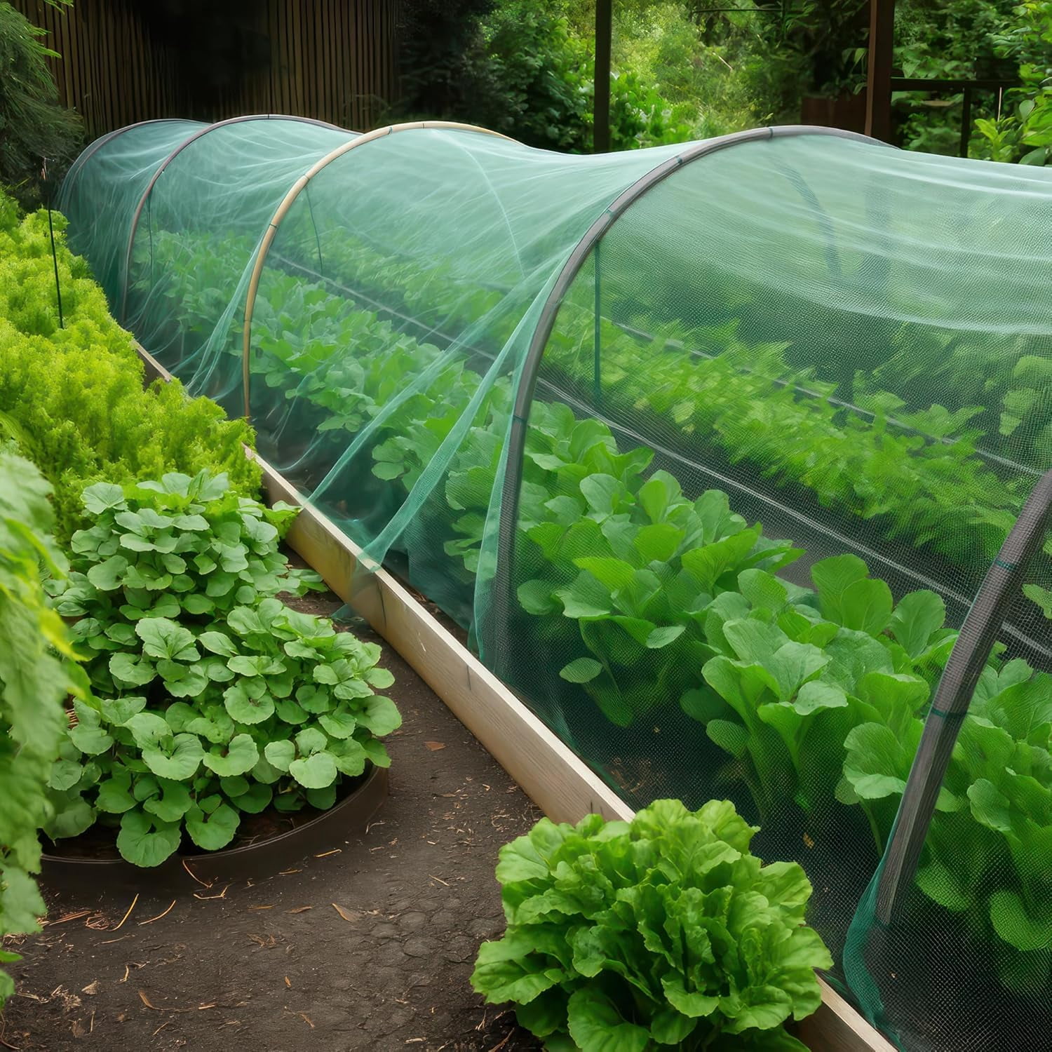 Green DIY Mosquito Net Fabric | 10x20 FT Netting 2 Pack | Insect Cover for Garden, Patio, Outdoor & Windows | Multiple Sizes in Black, White & Green | Raised Bed Screen Mesh Barrier