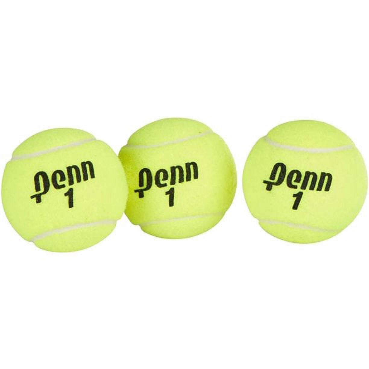 Penn Championship Extra Duty Tennis Ball Case Pack ( 12 Cans, 36 Balls)