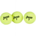 Penn Championship Extra Duty Tennis Ball Case Pack ( 12 Cans, 36 Balls