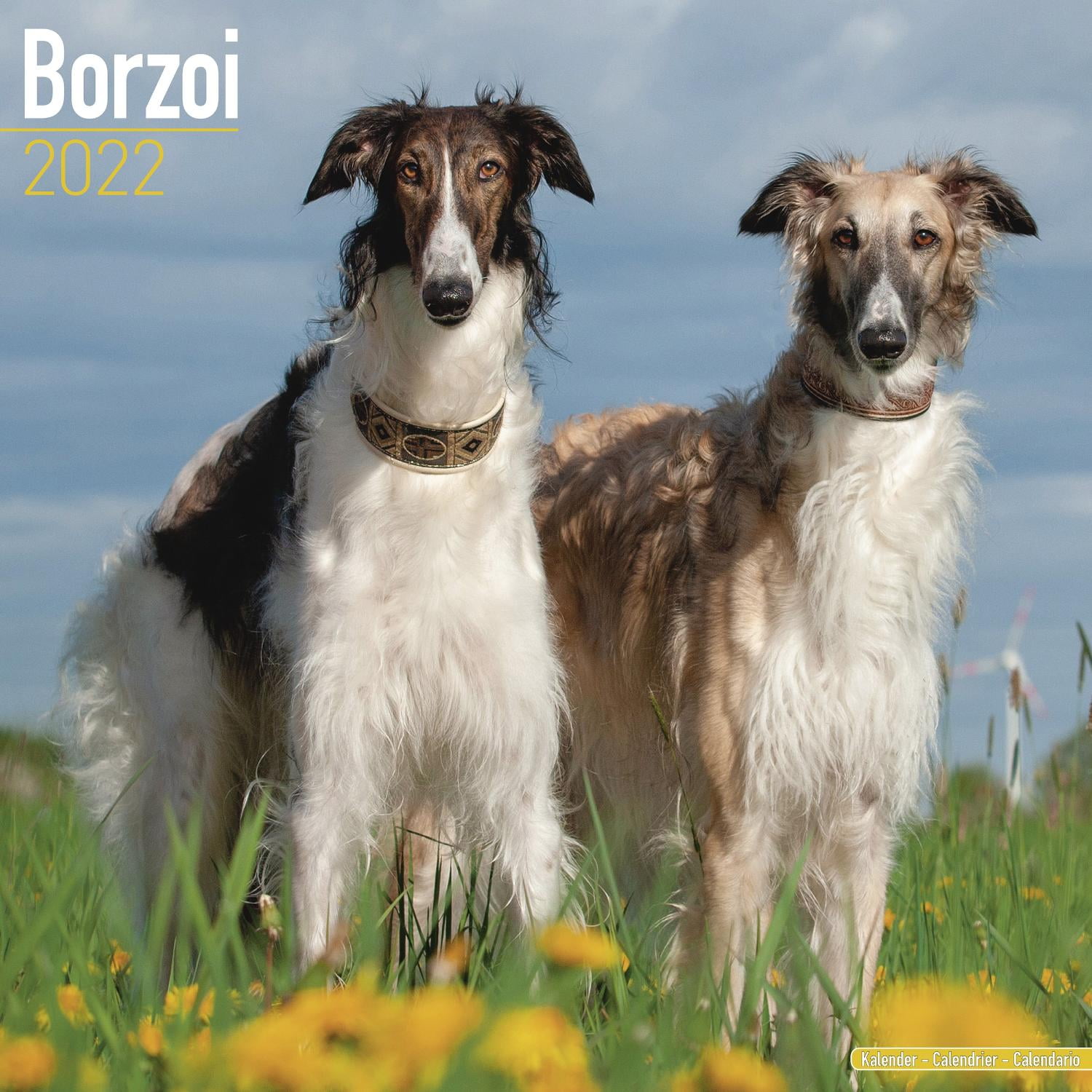 borzoi plush