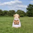 thumbnail image 3 of Flmtop Dog Clothes Breathable Super Soft Polyester Comfy Pet Dog Clothes for Decor #1, 3 of 9