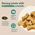 thumbnail image 3 of Jinx Beef Bone Broth Mini Biscuits, Crunchy Dry Dog Treats, 32 oz Jar, 3 of 10