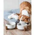 thumbnail image 4 of Set de cuencos para perros LE TAUCI con soporte de madera de acacia, 350 ml, 4 of 8