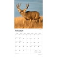 thumbnail image 3 of Monster Bucks 2026 Square Flap, 3 of 3