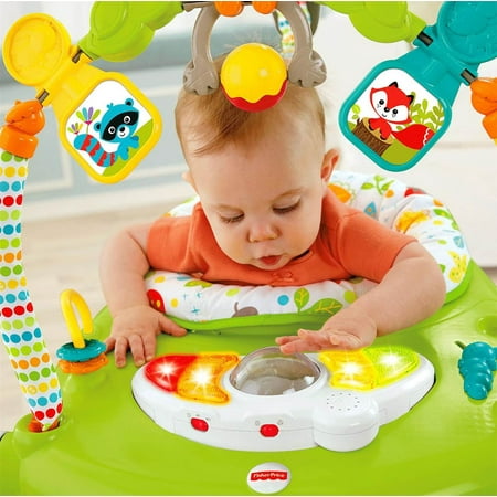 E Fisher Price Fp Woodland Jumperoo Walmart Canada