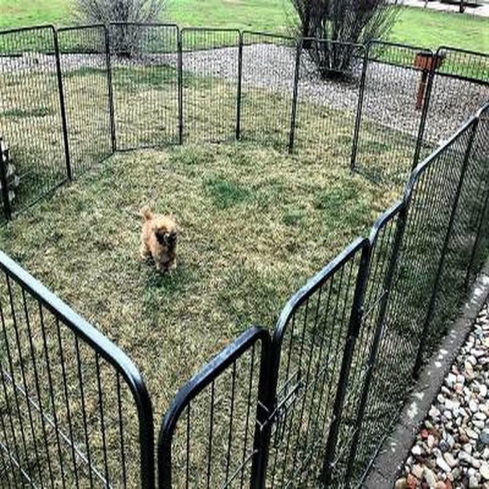 Barara King Dog Gates for The House,Dog Gate for Stairs,Pet Gate Safety Fence, 8 Metal Panel Heavy Duty Pet Playpen Dog Fence with Door-40 Inch