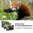 thumbnail image 5 of Outdoor Camera Clearance, Outdoor Scientific Research Hunting Orchard Villas Monitoring 20MP HD Fish Pond Forestry Farmtheft Cameras Infrared Night Vision Camera Extra-long Standby, 5 of 8