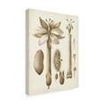 thumbnail image 2 of Trademark Fine Art 'Ochre Botanical I' Canvas Art by Vision Studio, 2 of 4