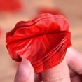 thumbnail image 4 of 2000/100 piezas de pétalos de rosa artificiales de imitación de colores, pétalos de rosa de seda para el día de San Valentín, bodas, fiestas, decoración romántica, 4 of 5