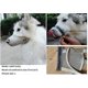 thumbnail image 4 of Bozal para perros, bozal ajustable de malla de nailon para perros pequeños, medianos y grandes, evita morder, masticar y lamer., 4 of 4