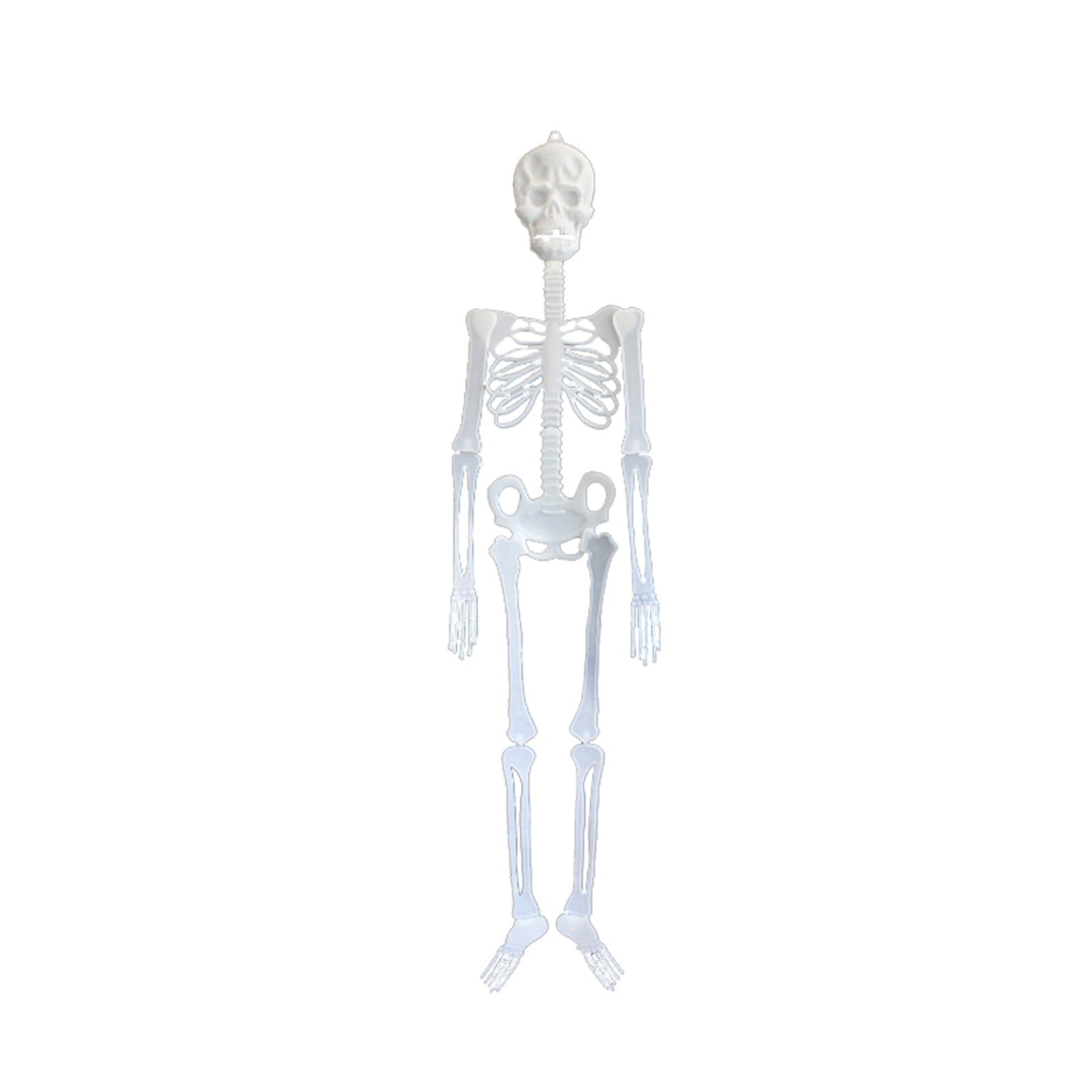 The Dark Skull Scary Party Decor Toys Halloween Props Luminous Human Skeleton 