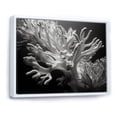 thumbnail image 2 of Designart "Monochrome Anemone In Colorful Photo IV" Coastal Coral Under Water Floater Framed Canvas Prints, 2 of 5