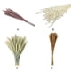 thumbnail image 5 of Ramo Seco de Flores Secas Injueey 100 Piezas, 5 of 6