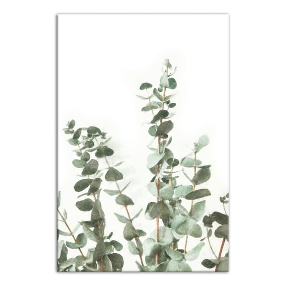Creative Products Watercolor Eucalyptus 20x30 Canvas Wall Art