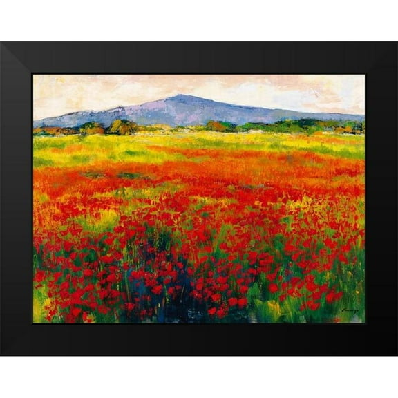 Camargo, Jesus P. 14x12 Black Modern Framed Museum Art Print Titled - Amapolas III