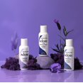 thumbnail image 5 of BERGMAN KELLY Champú de hotel de tamaño de viaje (1 fl oz 100 PK té blanco) Deleite a sus invitados con champú revitalizante y refrescante para la hospitalidad de huéspedes Champú de lujo de tamaño pe, 5 of 5