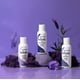thumbnail image 5 of BERGMAN KELLY Champú de hotel de tamaño de viaje (1 fl oz 100 PK té blanco) Deleite a sus invitados con champú revitalizante y refrescante para la hospitalidad de huéspedes Champú de lujo de tamaño pe, 5 of 5