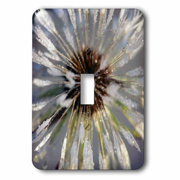 3dRose, Macro photograph of a wet dandelion puff., single toggle switch