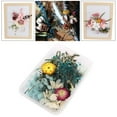 thumbnail image 4 of simhoa Real Dried Flower Pressed Leaves DIY For Epoxy Resin Jewelry Making 6, 4 of 8