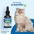 thumbnail image 6 of Pet Wellbeing Natural Cat Cough and Throat Soother - Throat Gold 2oz (59ml), 6 of 9