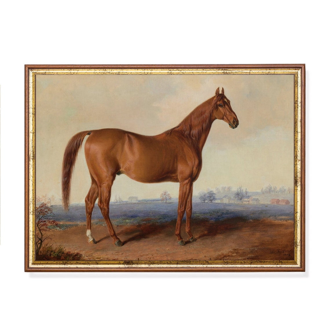 Vintage Horse Antique Equestrian Wall Art Print Farmhouse Nature Inspired Living Room Bedroom And Home Decor
