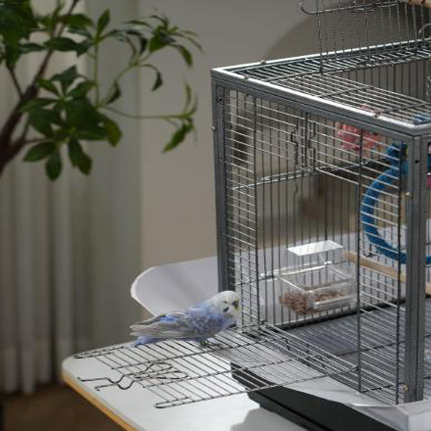 Budgie Cage 5, Small Bird Cage, 24 Inch Bird Cage, Pet Travel Birdcage Flight Bird Cage, Parakeet Cage with Slide-Out Tray and Handle for Parrot Cockatiels Budgies Finch Lovebirds Pigeons