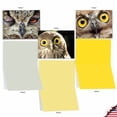 thumbnail image 3 of 10 Assorted All Occasion Blank Note Cards with Envelopes (4 x 5.12 Inch) - WHAT A HOOT M1769BN, 3 of 6
