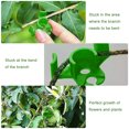 thumbnail image 2 of 50 Clips para Doblar Plantas 90 Grados Entrenamiento Estrés () Verde, 2 of 5