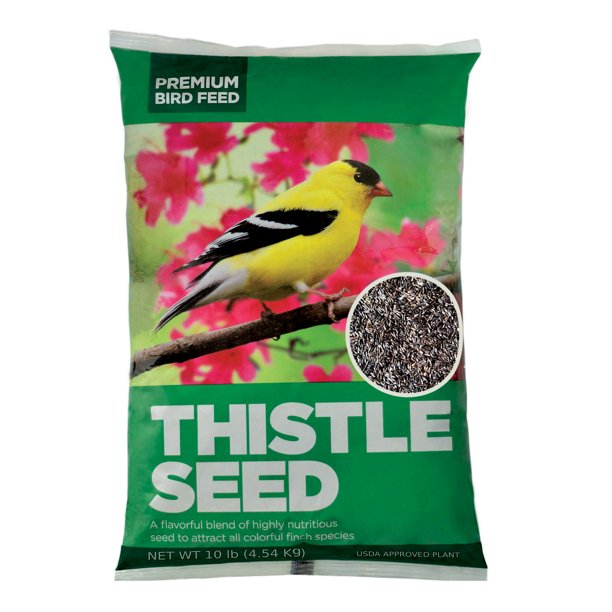 Premium Natural Black Thistle Nyjer Seed Wild Bird Food 10 Lb Bag Walmart Com