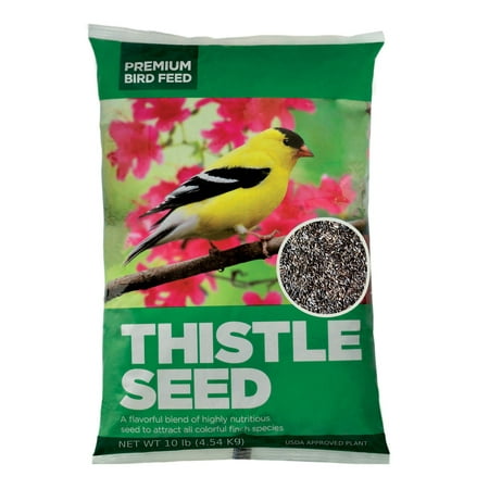 Bird Seed Bag - Generic Premium Thistle Seed Wild Bird Feed, 10 lbs