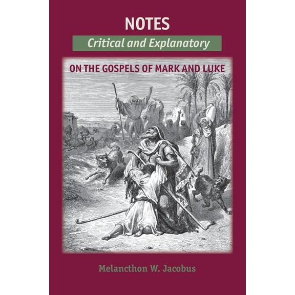Notes on the Gospels : Critical and Explanatory on Mark & Luke (Paperback)