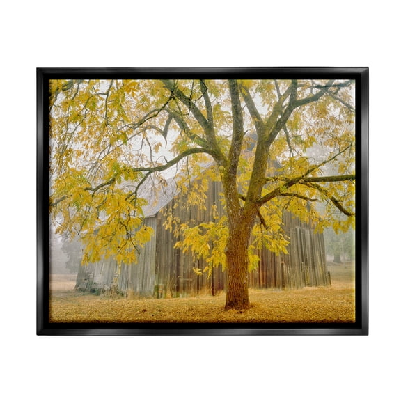 Stupell Industries Rustic Cabin Autumn Foliage Landscape Photography Black Floater Framed Art Print Wall Art
