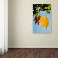 thumbnail image 3 of Trademark Fine Art "Couples Fall" Canvas Art by Philippe Sainte-Laudy, 3 of 3