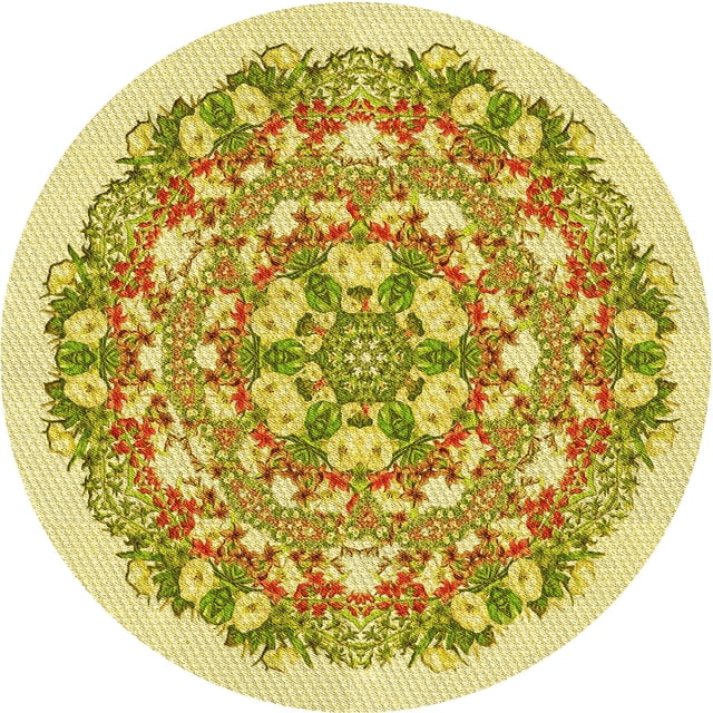 Ahgly Tapis de Zone Rond Lavable en Machine Intérieur Transitionnel Brun Doré Foncé, 4 Pieds Rond