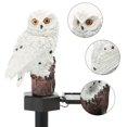 thumbnail image 3 of Luxtrada Garden Solar Lights Owl Shape Resin Owl LED Decorative Waterproof Garden Stake Lights, Solar-Powered Night Light, Outdoor Bird Lawn Lamp for Patio Walkway Yard Landscape, 3 of 11